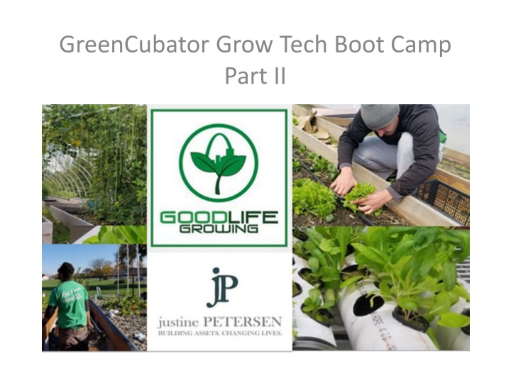 Hydroponics: Revolutionizing Plant Growth Techniques
