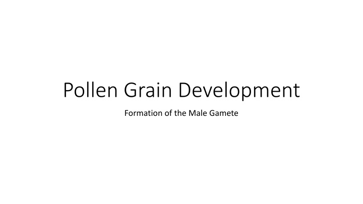 Pollen Grain Development