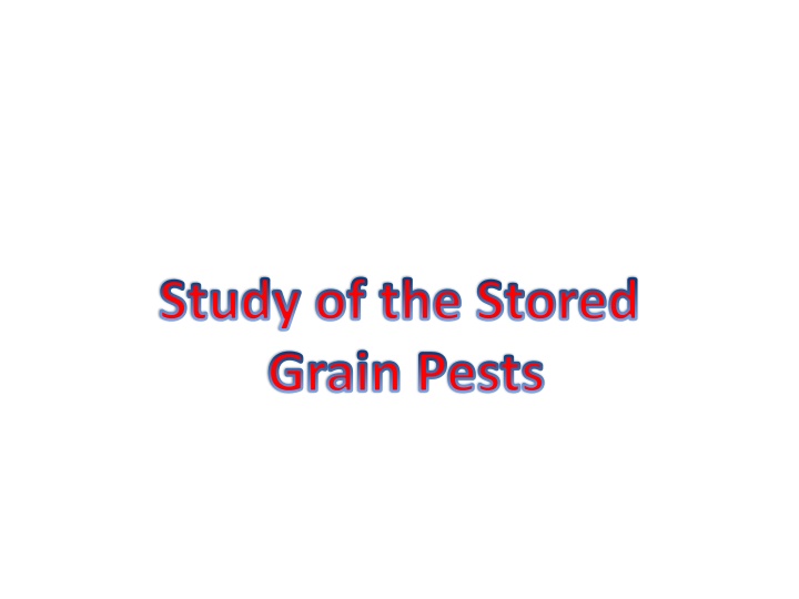 Overview of Stored Grain Pests