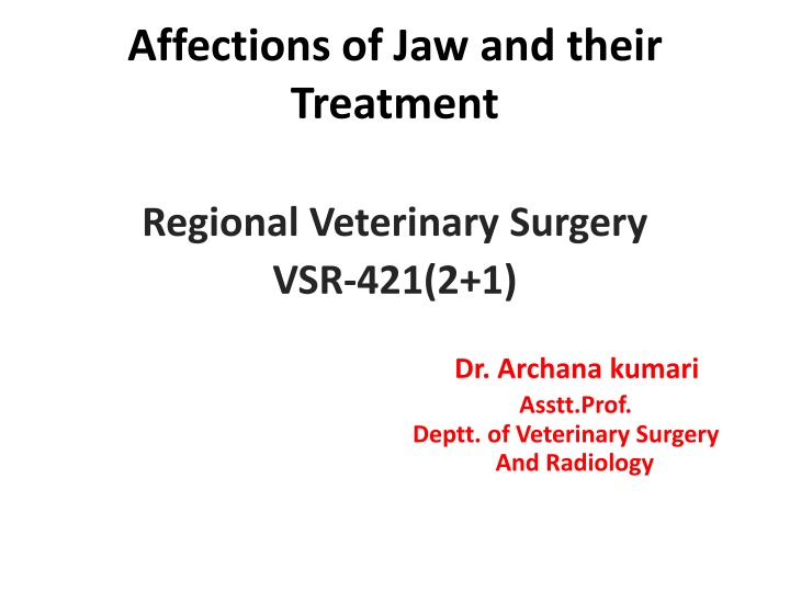 Veterinary Management of Jaw Affections and Treatments