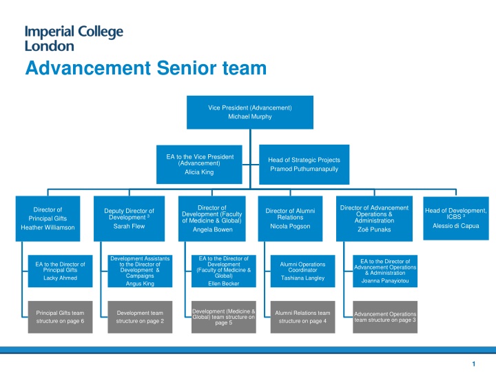 Organizational Structure and Team Overview in Advancement and Development Departments