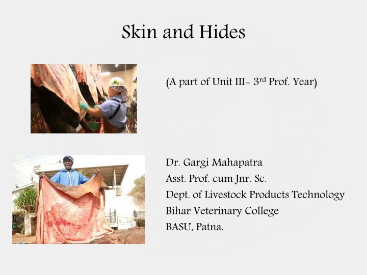 The Importance of Skin and Hides in Livestock Industry