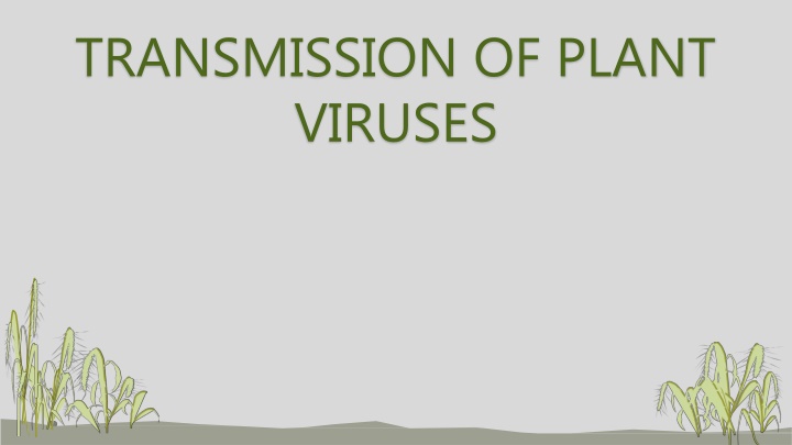 The Transmission and Movement of Plant Viruses