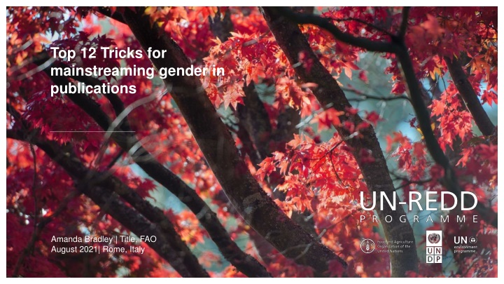 Top 12 Tricks for Mainstreaming Gender in Publications