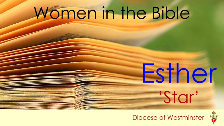 Women in the Bible: Discovering the Story of Esther