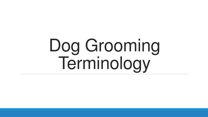 Essential Dog Grooming Techniques and Equipment