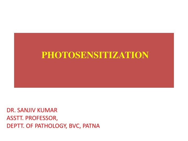 Photosensitization in Animals - Causes and Types