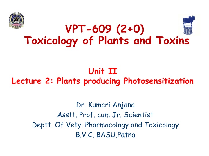 Photosensitization in Plants: Toxicology and Effects