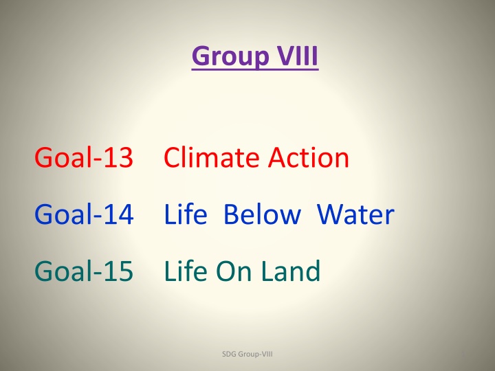 Sustainable Development Goals Group VIII Progress Report