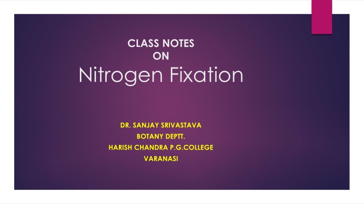 Nitrogen Fixation Process in Plants