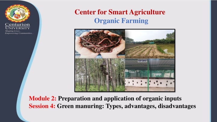 Green Manuring in Organic Farming: Types, Advantages, and Disadvantages