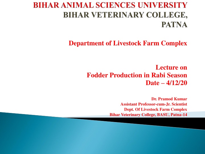Berseem: A Nutritious Rabi Crop for Fodder Production in India