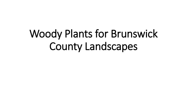 Essential Tips for Planting Woody Plants in Brunswick County Landscapes