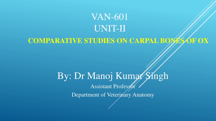 Comparative Studies on Carpal Bones of Ox
