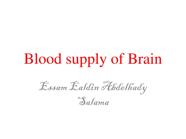The Blood Supply of the Brain