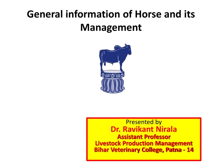 Horse Management and Common Terminology Overview