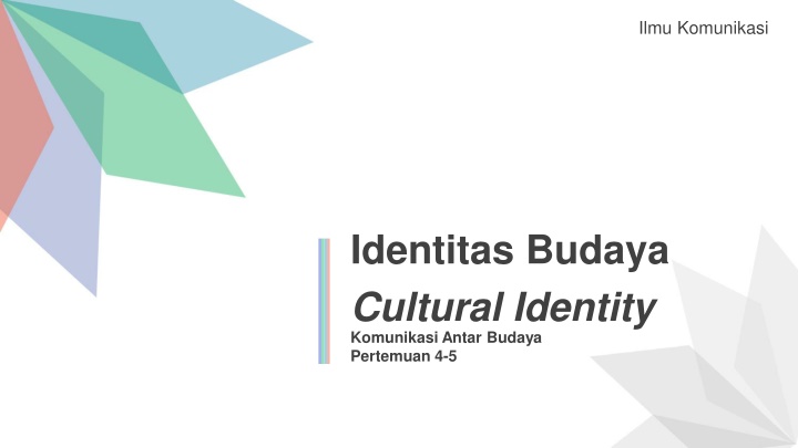 Cultural Identity in Communication Studies