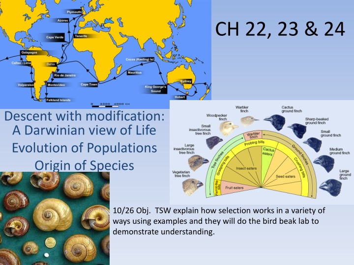 Evolutionary Concepts and Natural Selection Explained