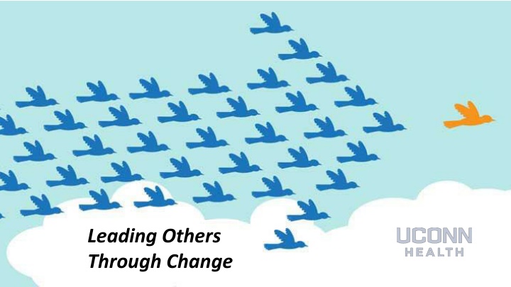 Navigating Change: Understanding Transition Dynamics