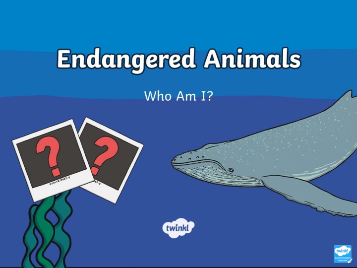 Endangered Animal Quiz and Task Time