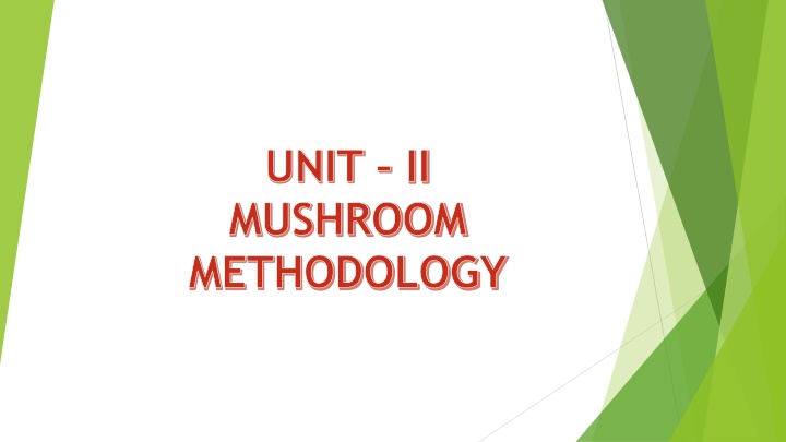 Mushroom Types and Characteristics