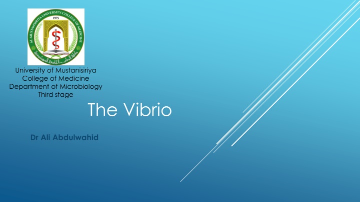 Vibrio Cholerae: Biology and Impact on Human Health
