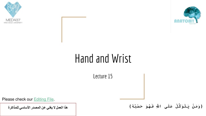 Anatomy of Hand and Wrist: Structures and Functions Overview