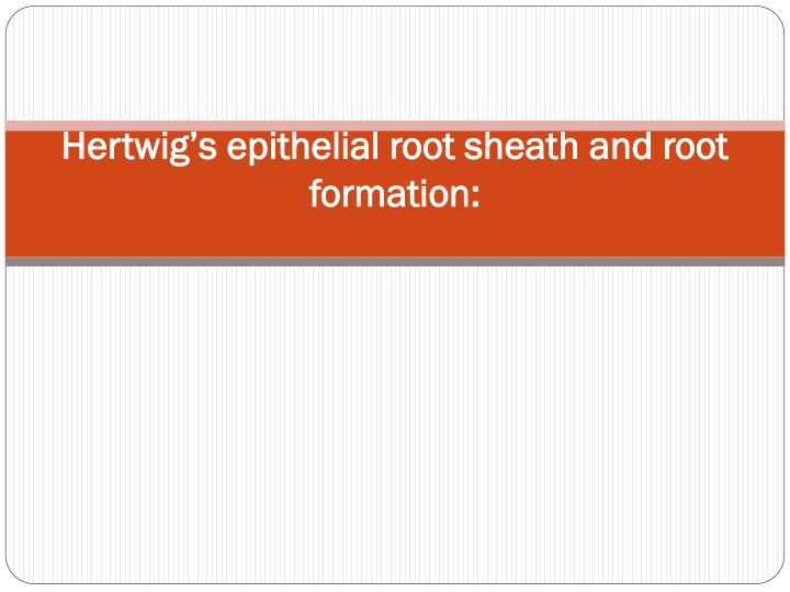 Formation of Hertwig's Epithelial Root Sheath in Tooth Development