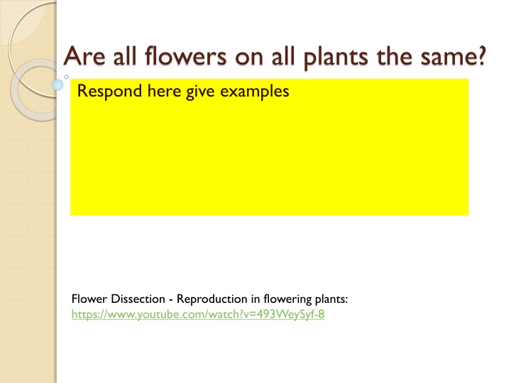 Flower Variations in Plants