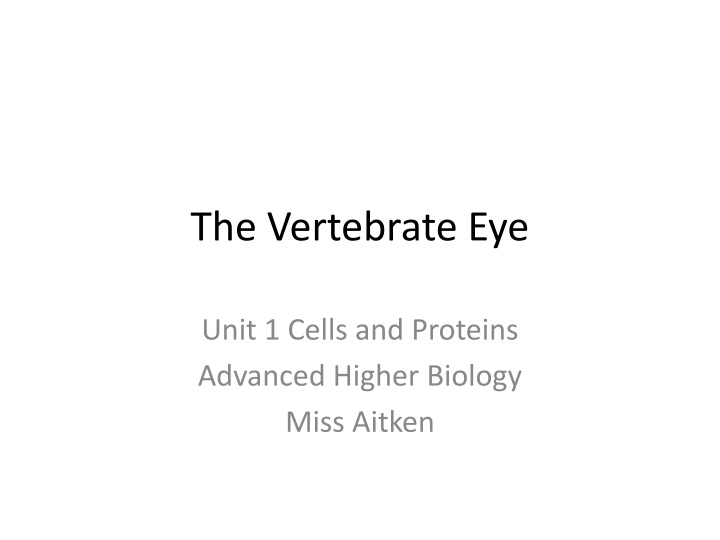 The Intricacies of Vertebrate Eye Biology