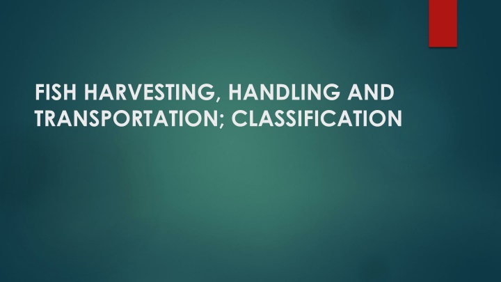 Overview of Fish Harvesting, Handling, and Transportation