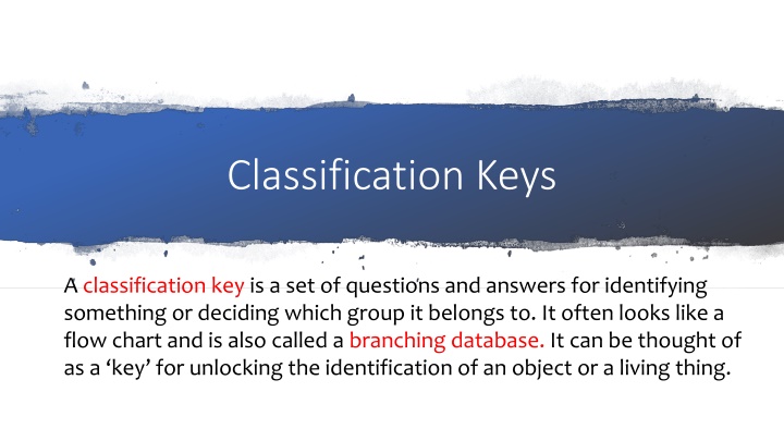 Classification Keys for Identifying and Sorting Things