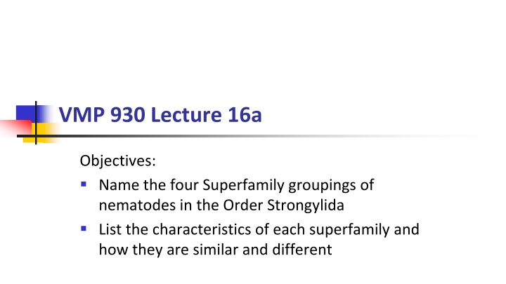Overview of Superfamilies in Order Strongylida Nematodes
