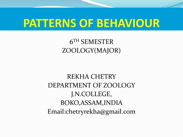 Patterns of Behaviour in Zoology: An Overview