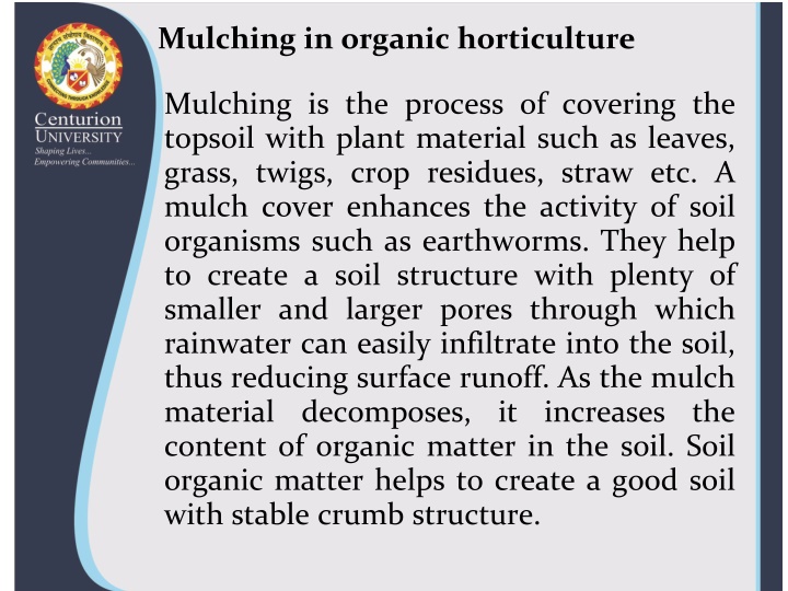 The Benefits of Mulching in Organic Horticulture