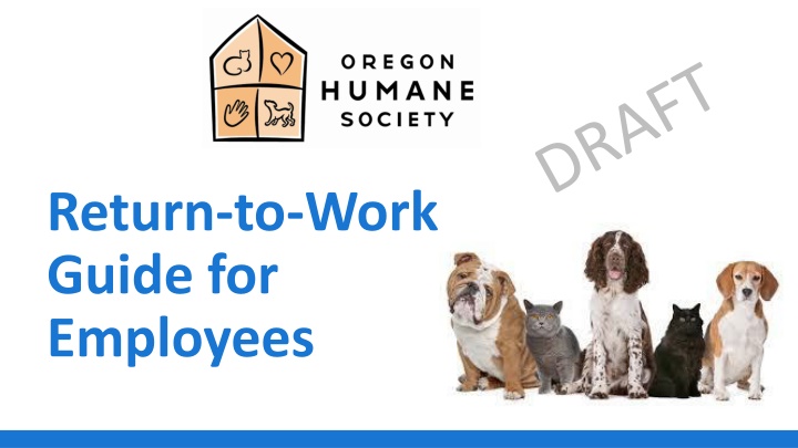 Comprehensive Return-to-Work Guide for Employees