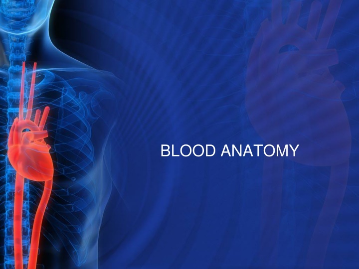 Blood Anatomy and Functions