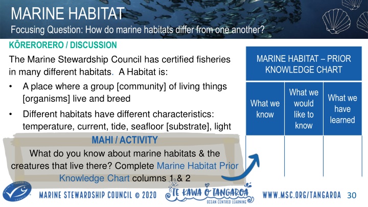 Marine Habitats and Their Diverse Ecosystems