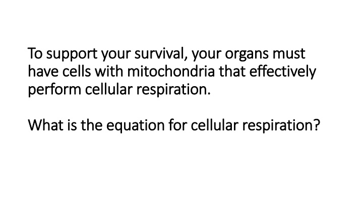 Cellular Respiration and Oxygen Delivery