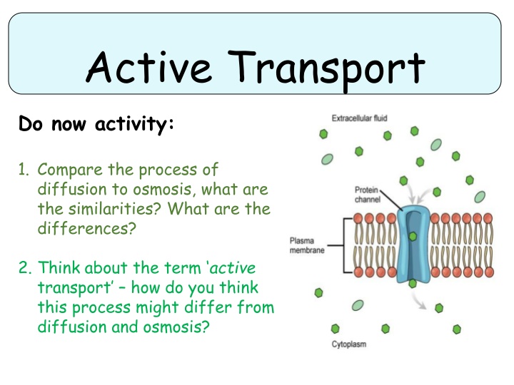 Passive and Active Transport in Cells