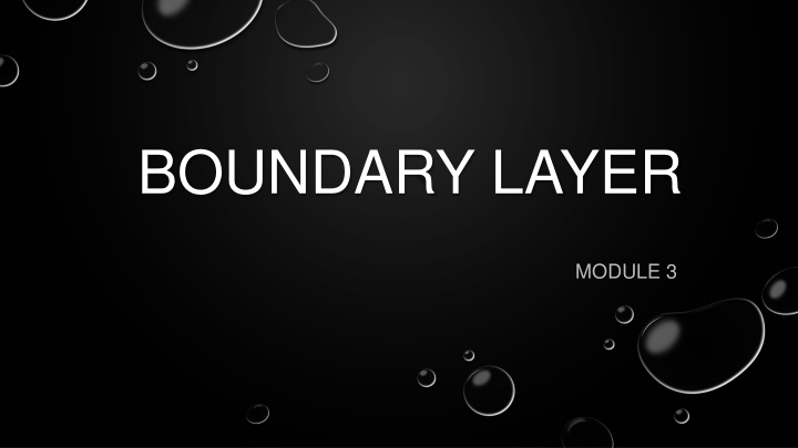 Boundary Layers in Fluid Dynamics