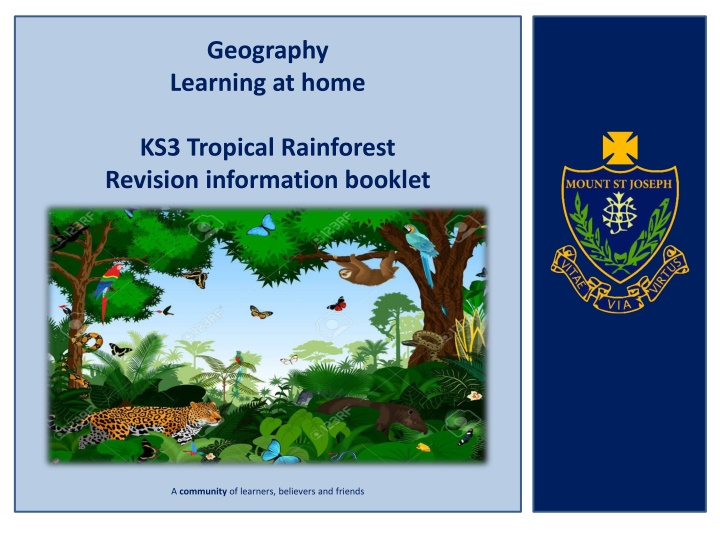 Exploring the Rich Ecosystem of Tropical Rainforests