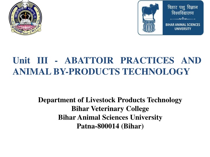 Rendering in Abattoir Practices