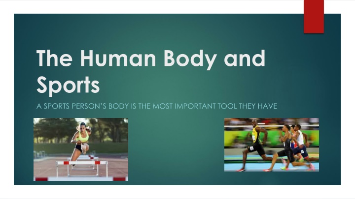 Enhancing Performance Through Proper Nutrition in Sports
