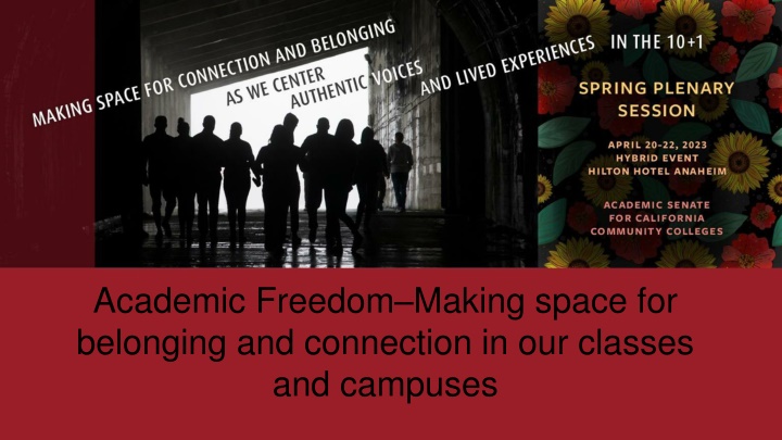 Academic Freedom in California Community Colleges: Balancing Ideals in Education
