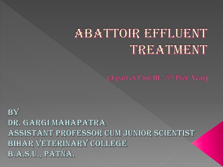 Abattoir Effluent Treatment: Understanding and Managing Waste Water in Meat Processing Plants