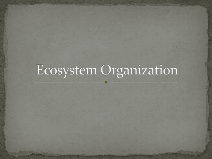 Ecosystem Organization and Hierarchy