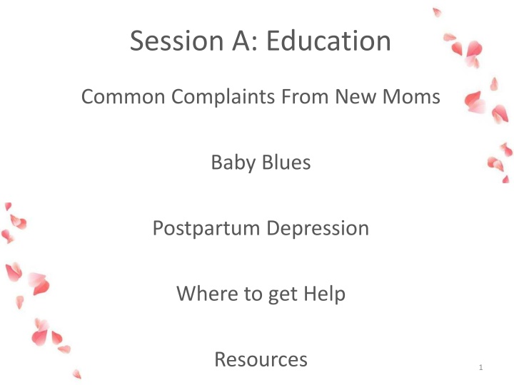 Postpartum and Baby Blues: Education and Support