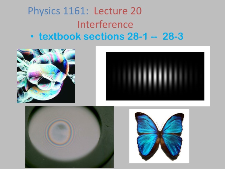 Exploring Wave Interference in Physics: Superposition, Constructive, and Destructive Interference