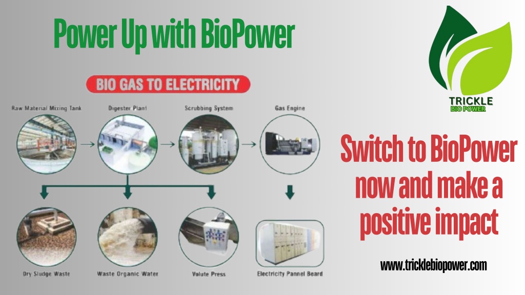 power up with biopower l.w